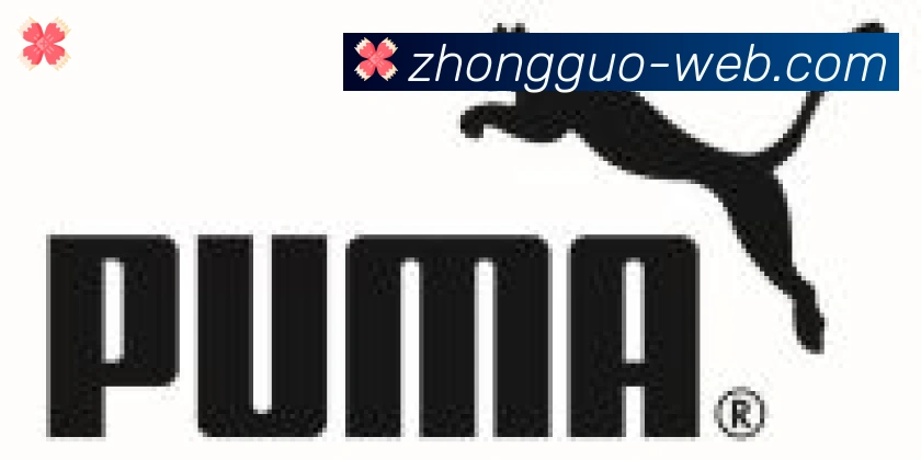 中国体彩网合作伙伴